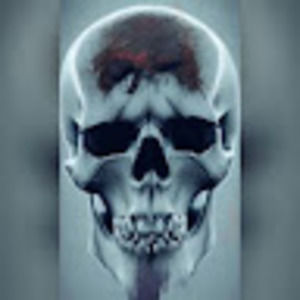 Meet your Posher, Vincent